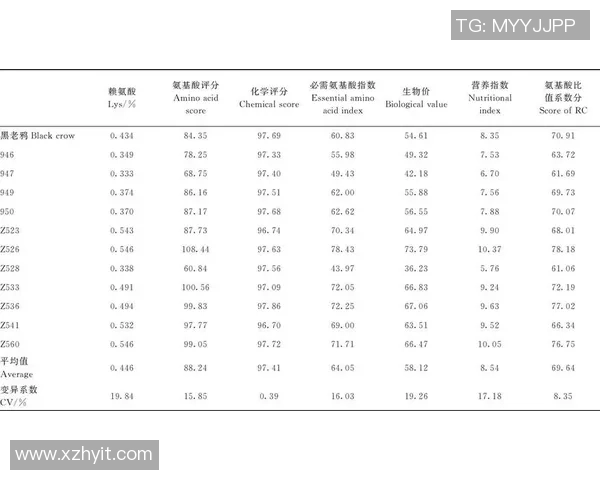广州乒乓球队在大师赛中的速度表现分析与点评