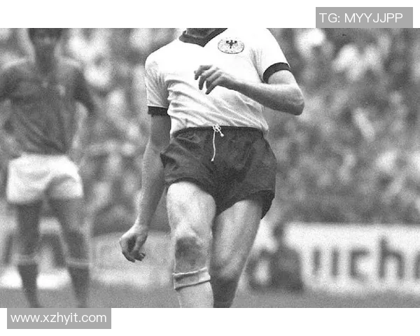 小圆脸的足球明星预测之旅揭秘未来球场巨星的潜力与魅力